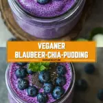 Veganer Blaubeer-Chia-Pudding 14 Pinterest Hidden Image